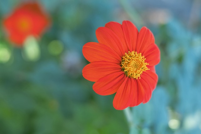 受到了巨大 受到了巨大