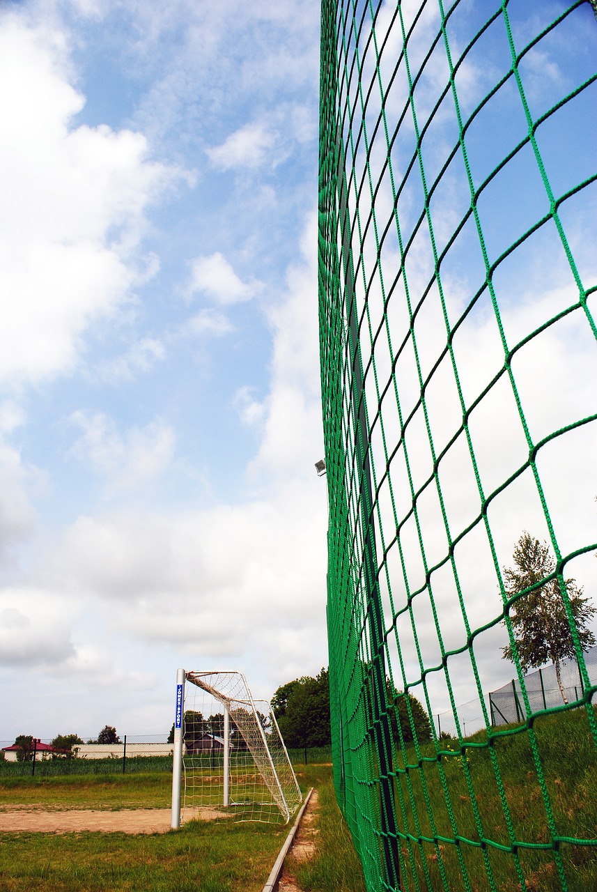 和孙兴慜的 和孙兴慜的