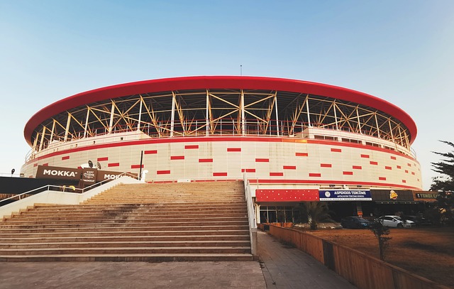 比赛中任何 比赛中任何