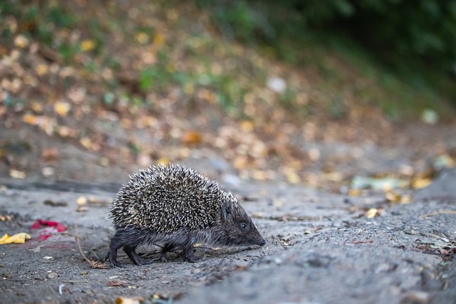 激烈的今天 激烈的今天