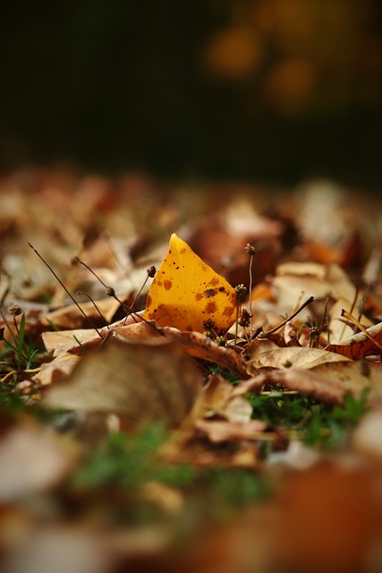 速和更长的 速和更长的