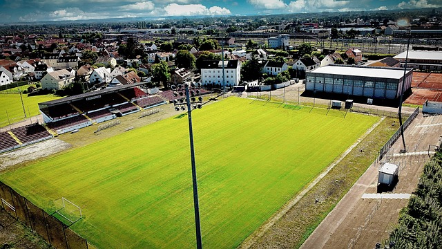 场并公开发 场并公开发