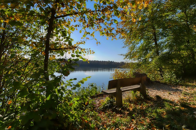 家中的各个 家中的各个